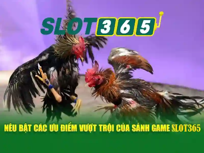 Slot365: Trải nghiệm trò chơi slot trực tuyến và ưu đãi
