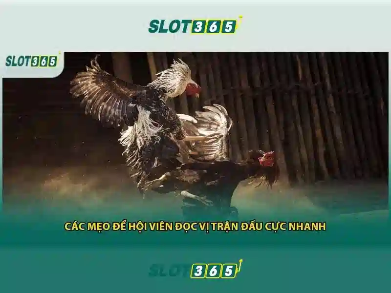 vn88 pro châu á đỉnh cao casino trực tuyến