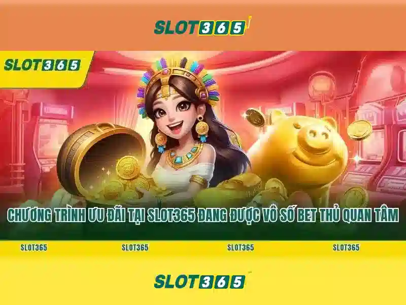 Giao diện người dùng và trải nghiệm di động