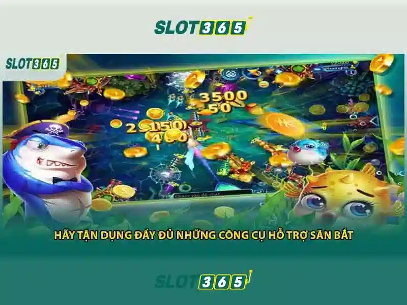 Khuyến mãi, thanh toán và hỗ trợ khách hàng