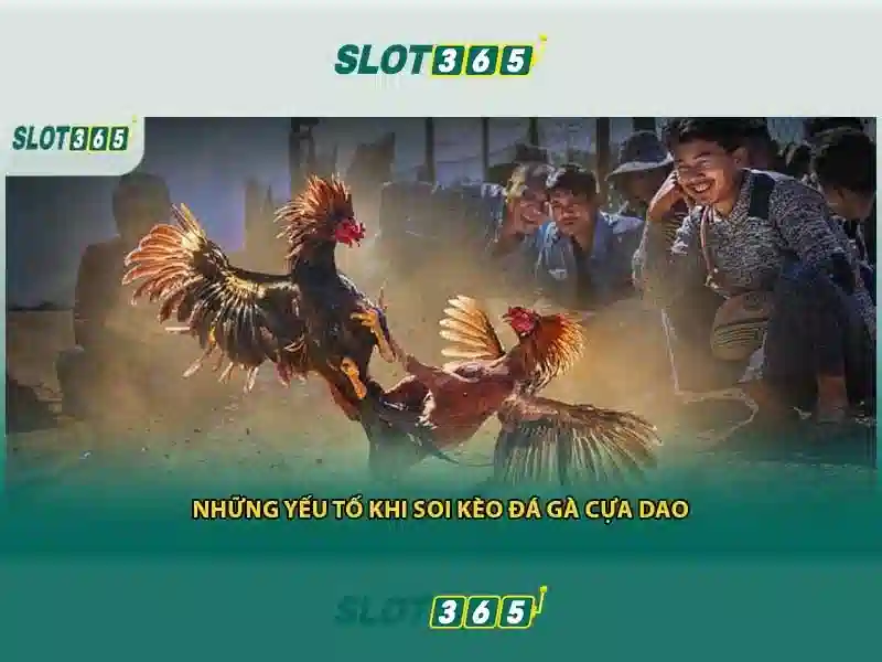 Giao diện đăng ký tài khoản đại lý slot365 trên máy tính và điện thoại