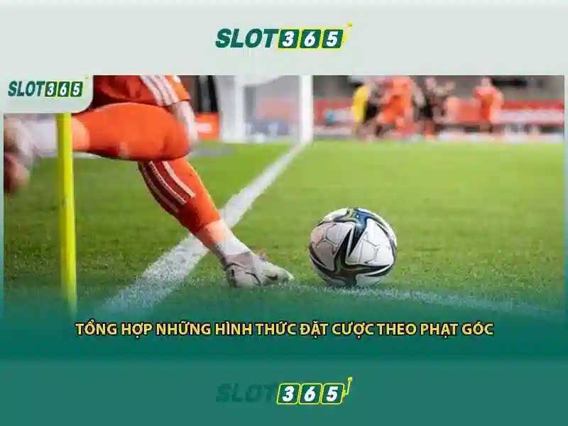 Phan mem hoat dong