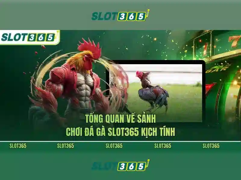 Giao diện và trải nghiệm người dùng