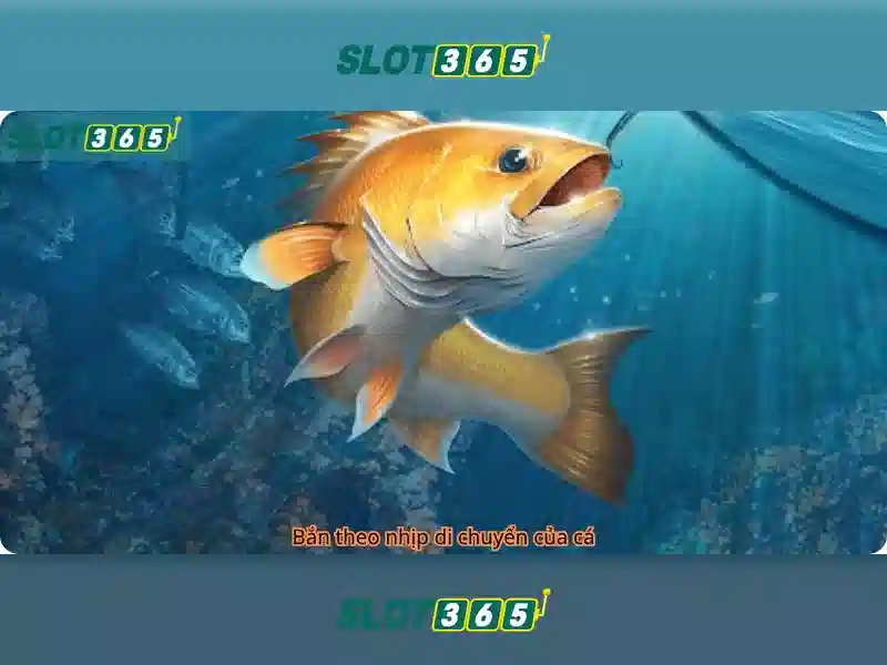 Giao diện và trải nghiệm người dùng