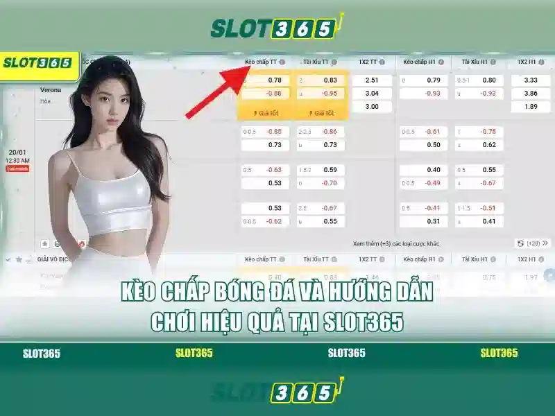 Slot365: Nền tảng trò chơi quay số trực tuyến đáng tin cậy
