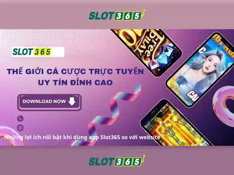 slot365-banner