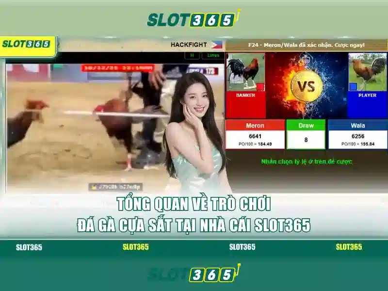 slot365 - Nền tảng slot trực tuyến hàng đầu
