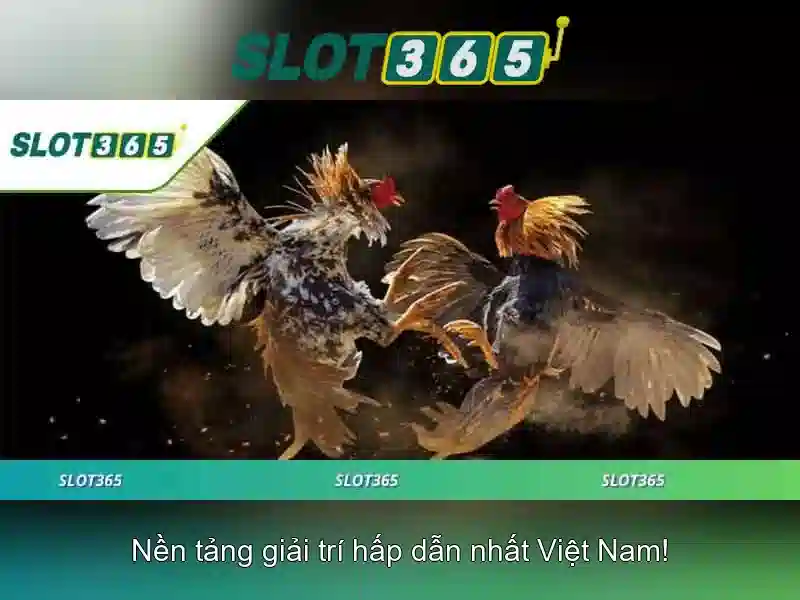An toàn thanh toán và bảo mật