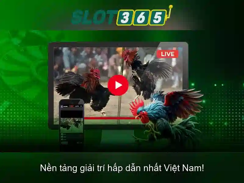 Dịch vụ khách hàng và hỗ trợ