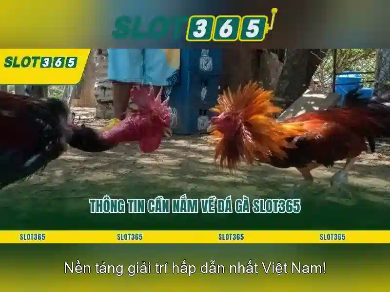 valorant fun88 - etek.com.vn