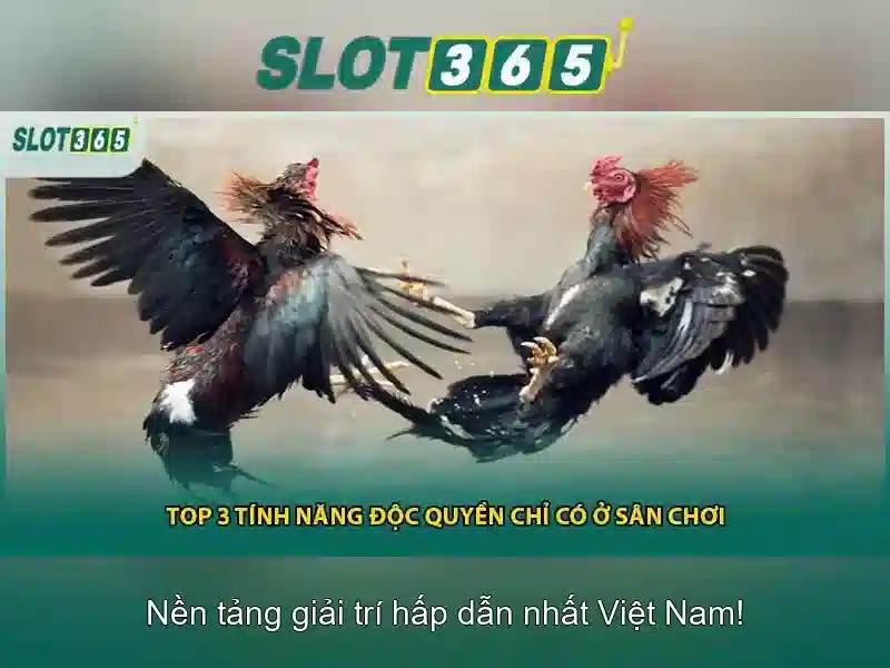 Slot365: Kinh nghiệm và đánh giá