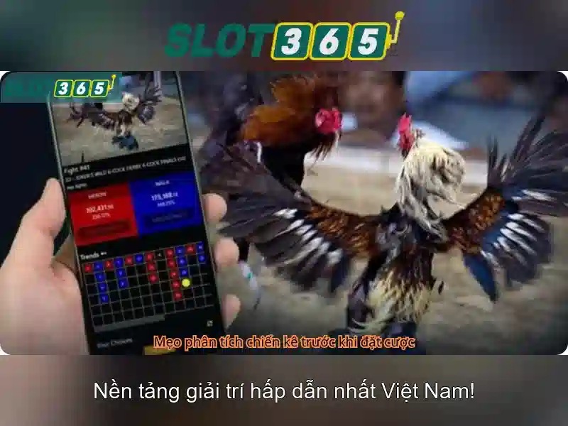 Slot365: Tổng quan, tính năng và cách chơi