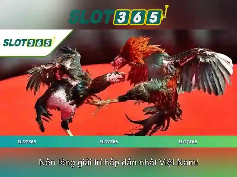 An toàn, bảo mật và thanh toán