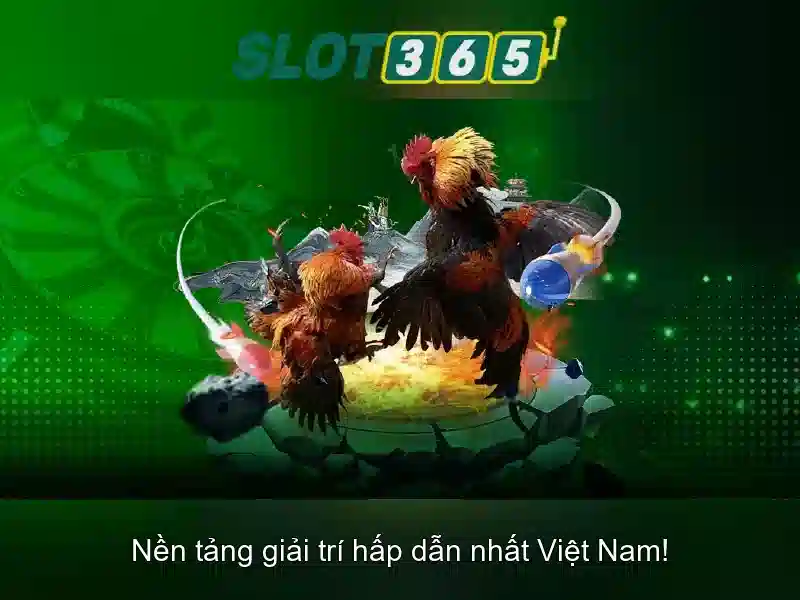 Slot365 là gì?