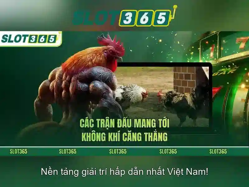 Slot365 — Nền tảng slot trực tuyến an toàn và giải trí