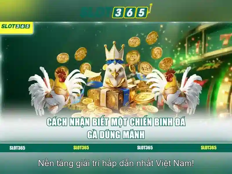 Slot365: Đánh giá, hướng dẫn và trải nghiệm chơi slot trực tuyến