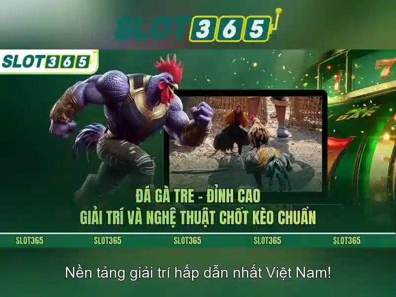 Đánh giá an toàn và vận hành của Slot365