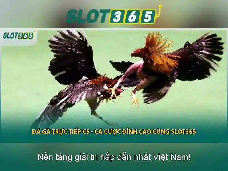Slot365: Nền tảng chơi slot trực tuyến uy tín tại Việt Nam