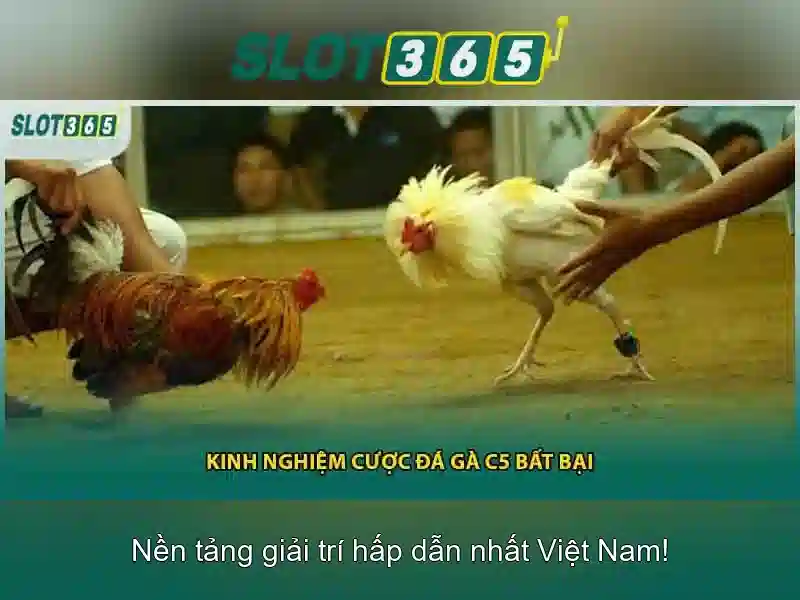 'Giới thiệu Slot365'