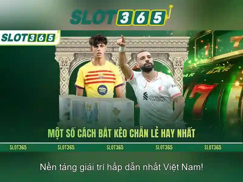 Khuyến mãi và chương trình thưởng