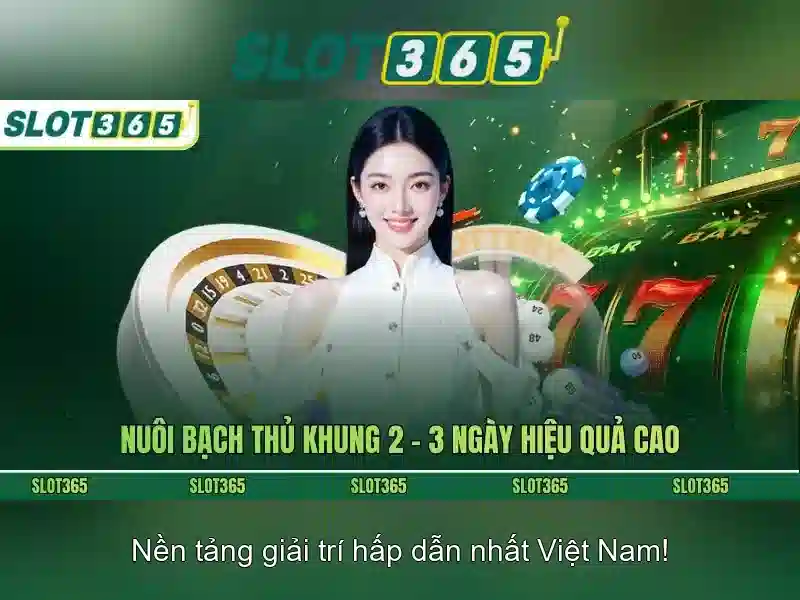 Trải nghiệm chơi mượt mà và giao diện người dùng