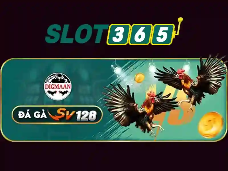 Slot365 là gì và tại sao nên thu hút