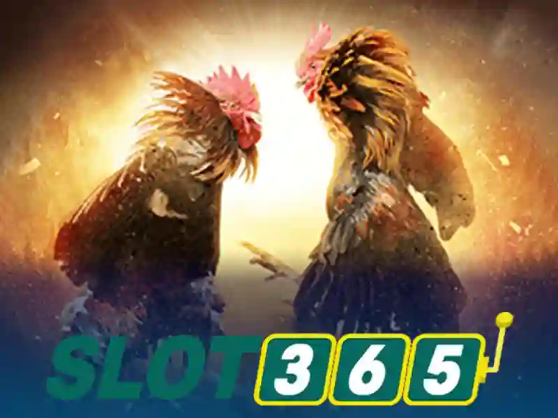 Giao dien sanh cuoc da ga slot365 hien dai va sac net